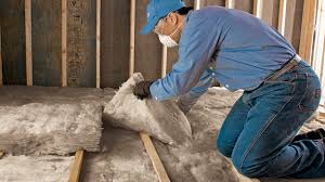 Best Insulation for New Construction  in Los Luceros, NM